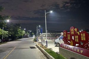 歡創(chuàng)集團羅寧弟愛心捐贈路燈，點亮鄉(xiāng)村路溫暖鄉(xiāng)民心